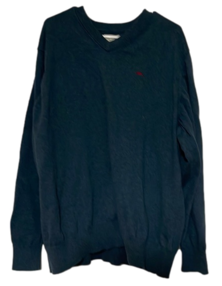 Nice men’s Bob Timberlake vneck sweater 2XL